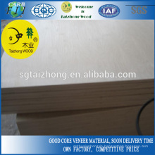 Plain Eucalyptus Plywood